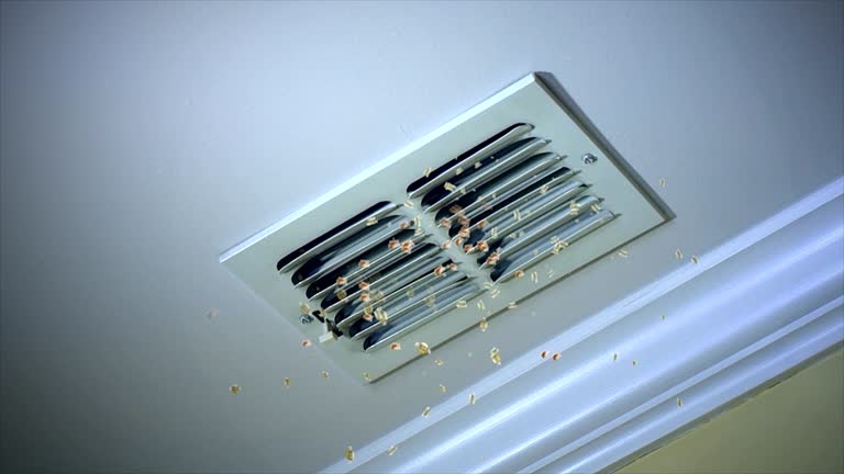 Best Commercial Air Duct Cleaning  in Sparta, WI